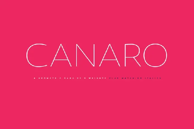 Canaro Sans Family font