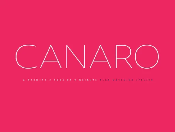 Canaro Sans Family font