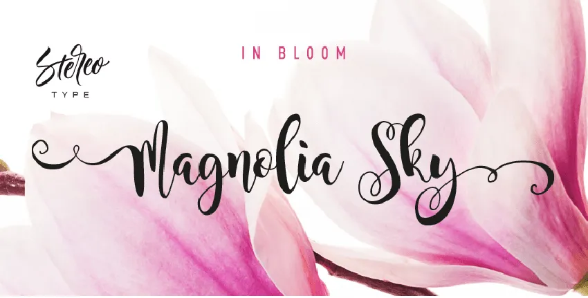 Magnolia Sky font