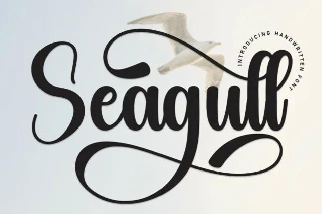 Seagull Script font