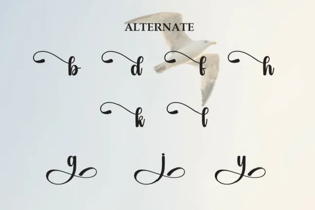 Seagull Script font