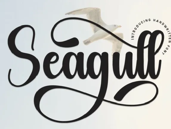 Seagull Script font