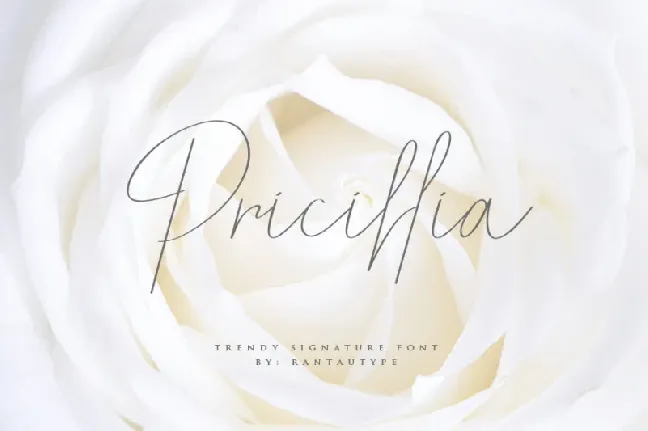 Pricillia Signature font