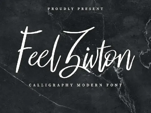 Feel Zivton Demo font