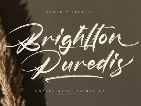 Brightton Puredis font