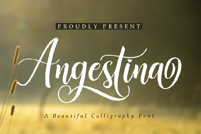 Angestina font