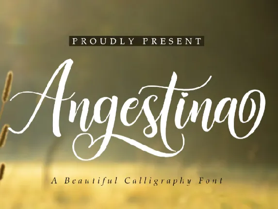 Angestina font