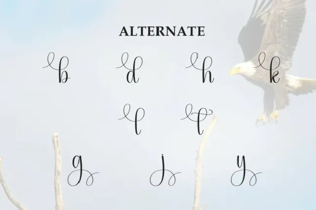 Eagle Script Typeface font