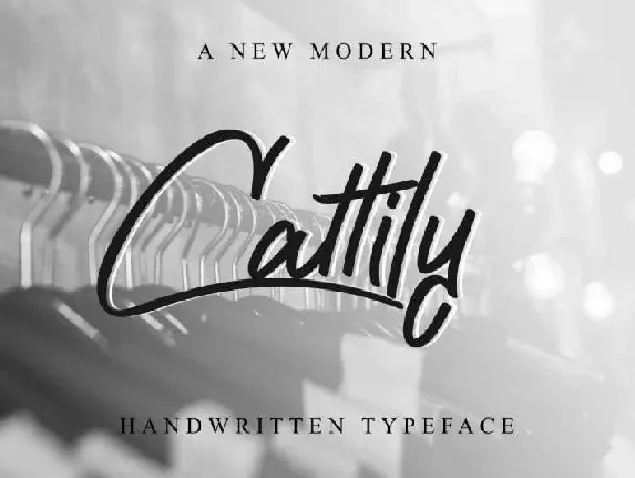 Cattily Calligraphy Free font