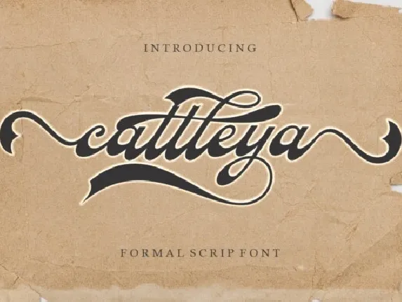 Cattleya font