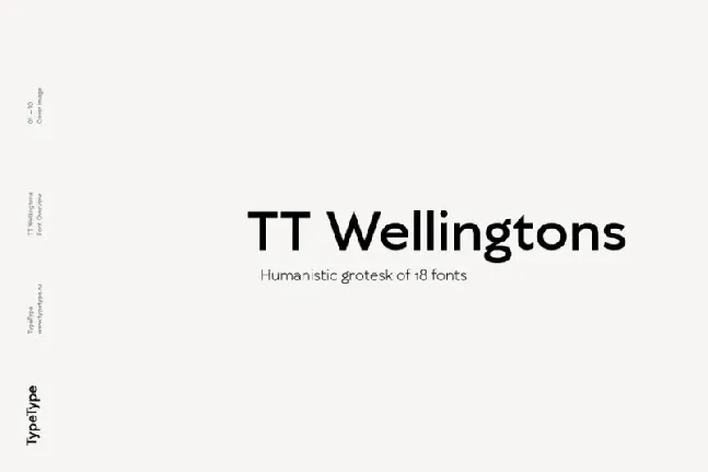 TT Wellingtons Family font