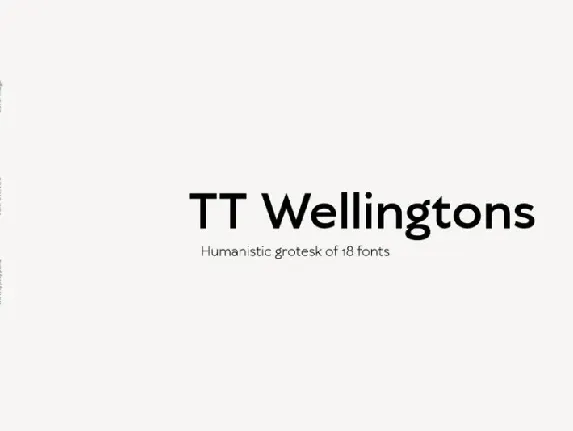 TT Wellingtons Family font