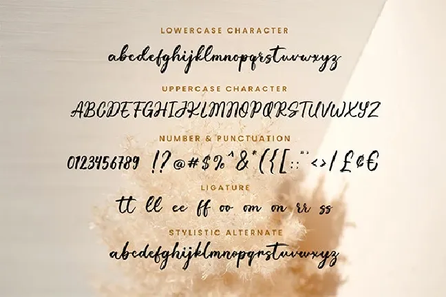 Yellow Bougenville font