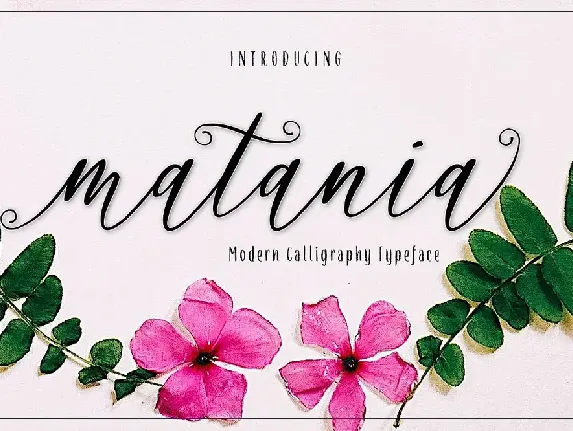 Matania Calligraphy font