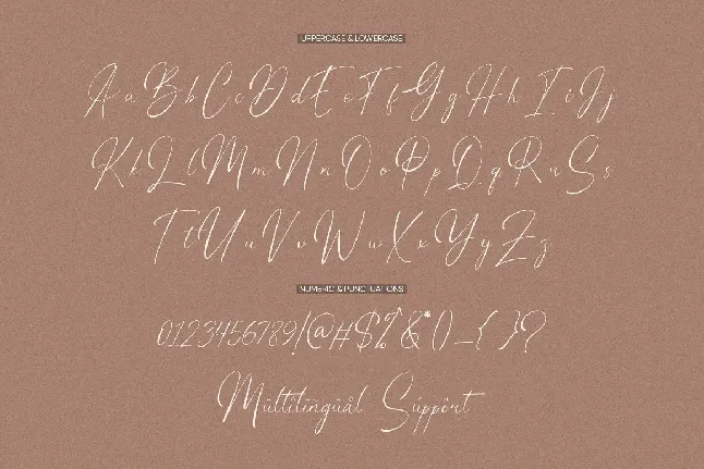 Willonita font