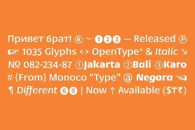 Negara Serif font