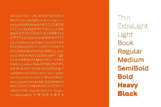 Neue Alte Grotesk Family font