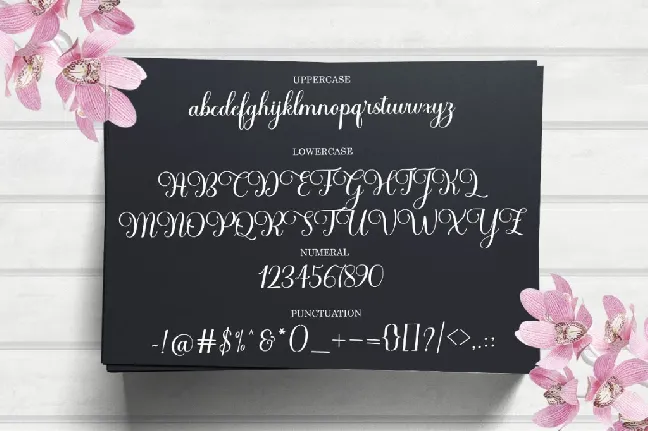 Haileyna font