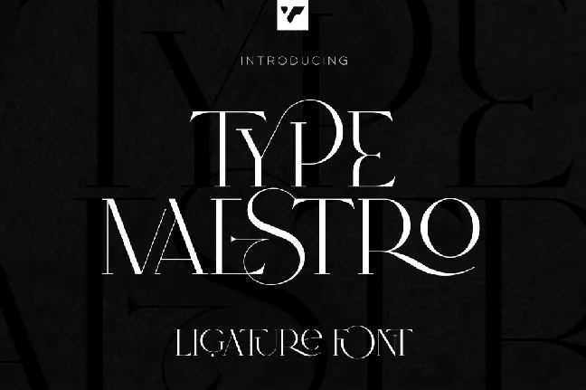 Type Maestro font