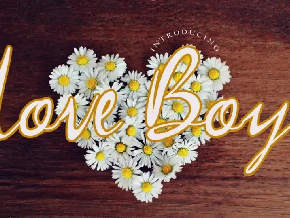 Love Boy Script font