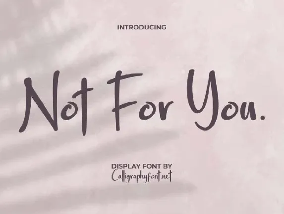 Not For You Demo font