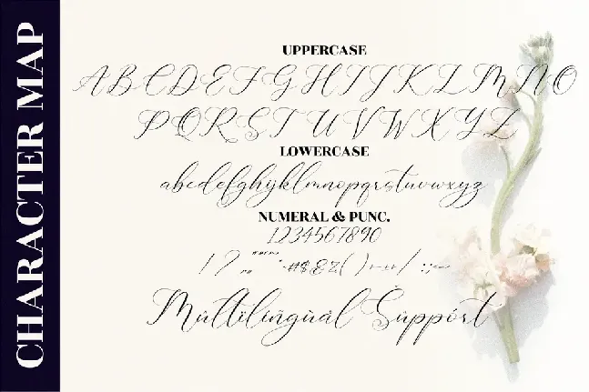 Gashina Lattiva font