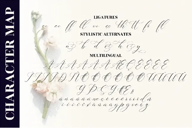 Gashina Lattiva font