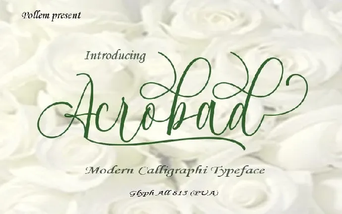 Acrobad Script font