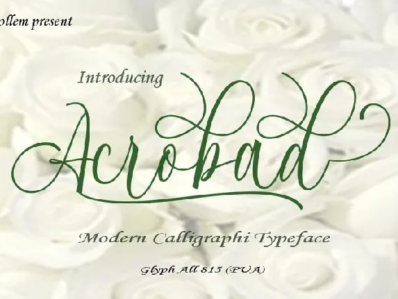 Acrobad Script font