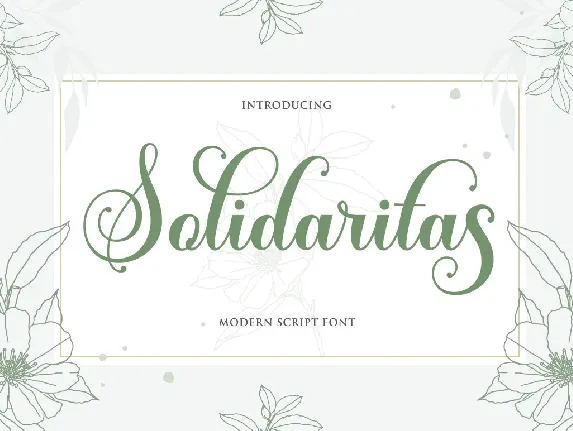 Solidaritas font