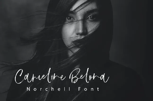 Norchell font