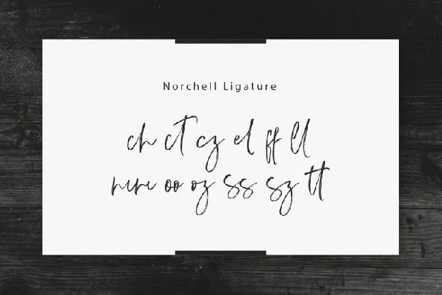 Norchell font