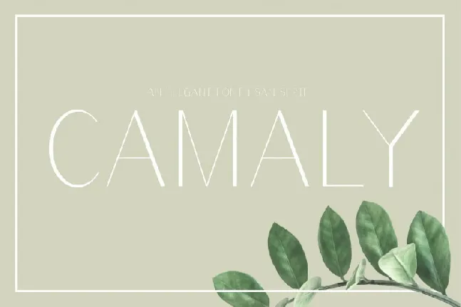 Camaly Sans Serif font