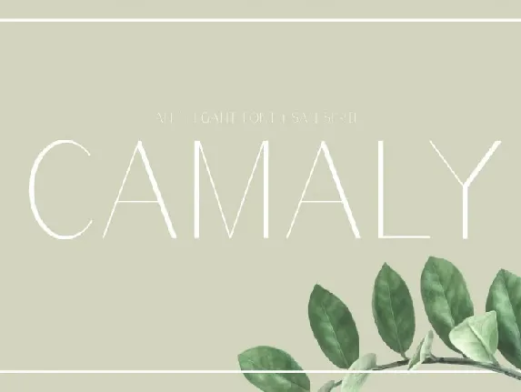 Camaly Sans Serif font