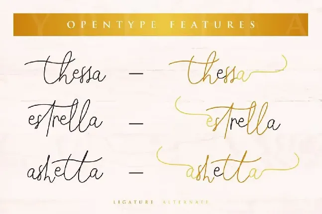 Modya Tea Demo font