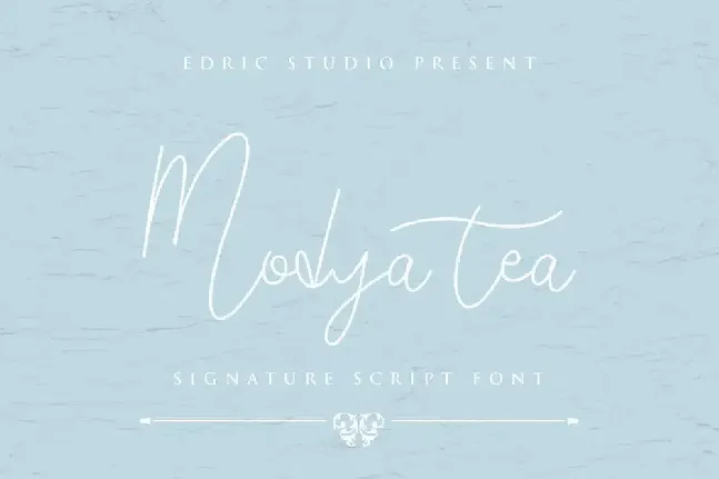 Modya Tea Demo font