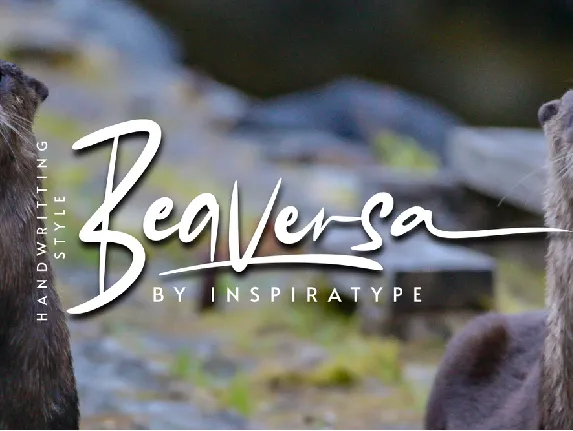 Beaversa FREE font