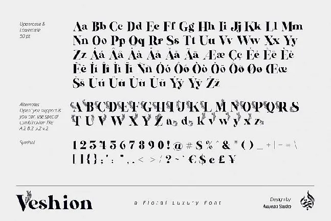 Veshion Serif font