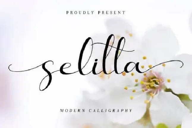 Selitta Calligraphy font