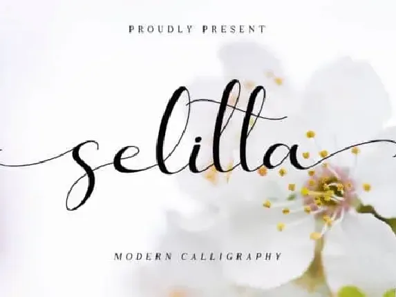 Selitta Calligraphy font