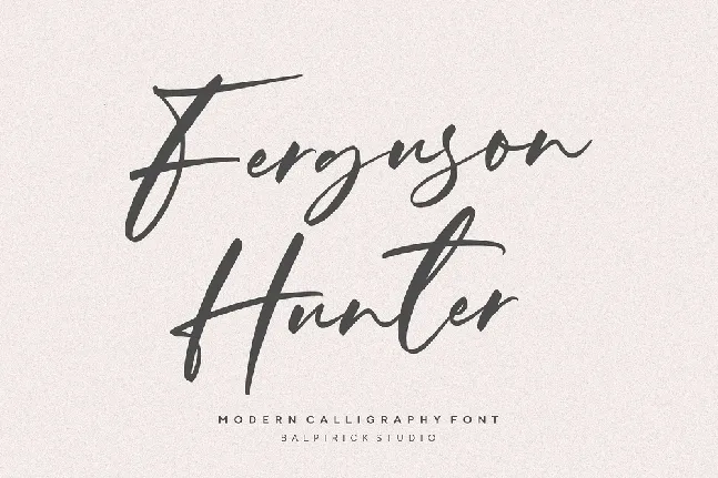 Ferguson Hunter font