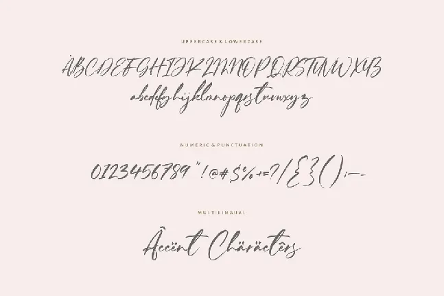 Ferguson Hunter font