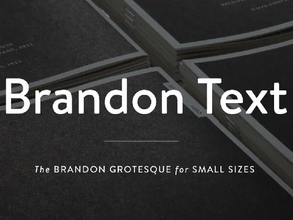 Brandon Text font