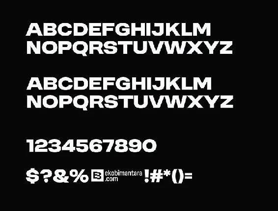 Moderniz font