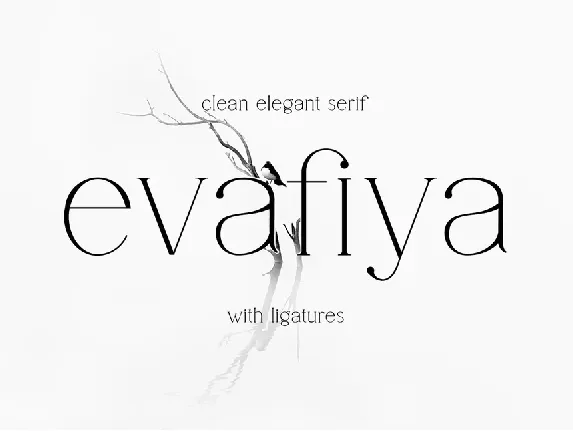 Evafiya font