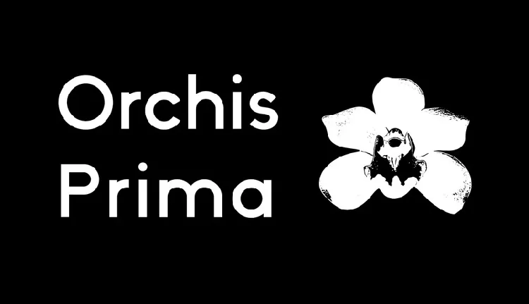 Orchis Prima Family font