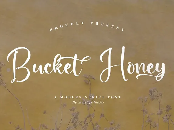 Bucket  Honey font