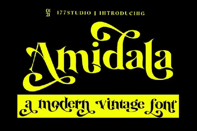 Amidala Serif font