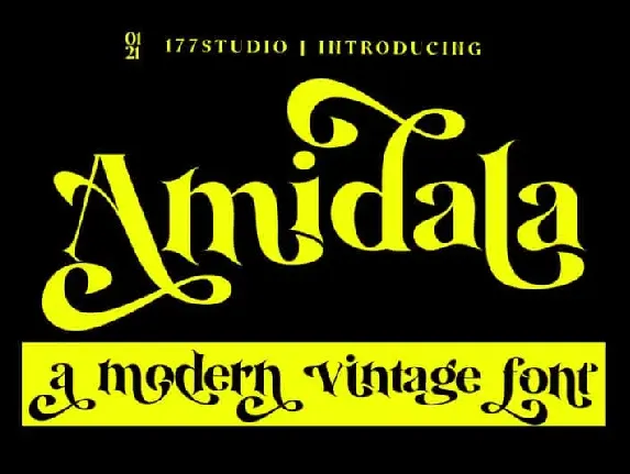 Amidala Serif font