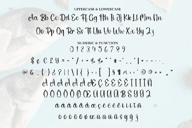 Fresh Fish font